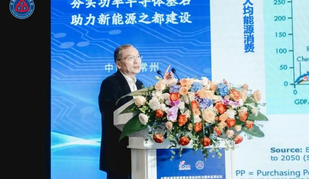 浙江大學求是特聘教授、中國電源學會名譽理事長 徐德鴻