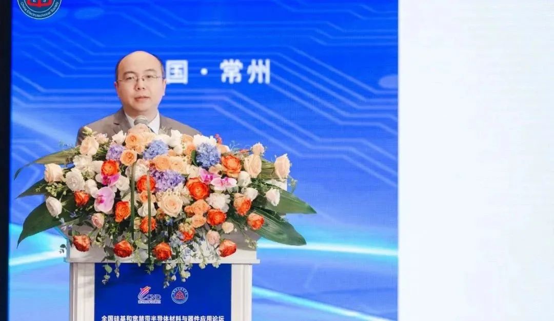 江蘇宏微科技股份有限公司 市場總監(jiān) 榮睿